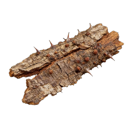 Prickly Ash Bark