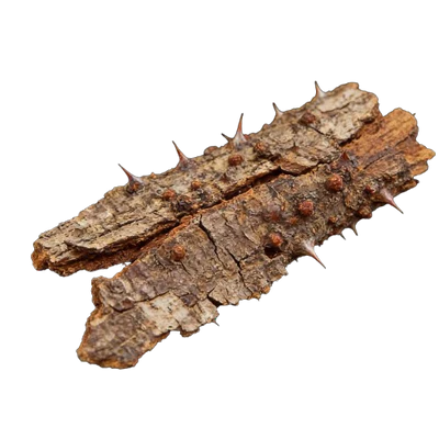 Prickly Ash Bark