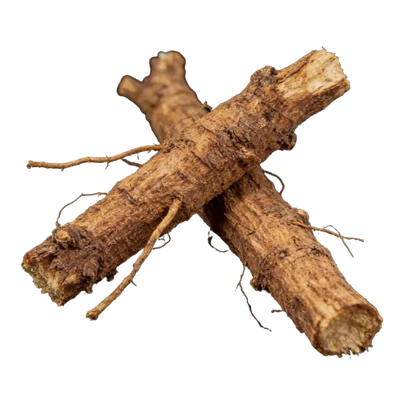 Stillingia Root